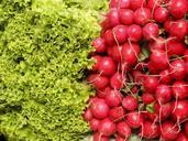 salad-radishes-vegetables-plants-182790.jpg