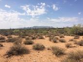 desert-arid-dry-desert-landscape-990570.jpg