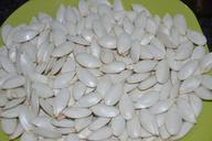 pumpkin-seeds-medicinal-481864.jpg