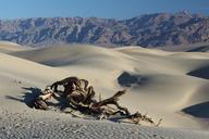 desert-death-valley-sand-dunes-1443127.jpg