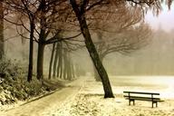 winter-landscape-snow-nature-cold-843305.jpg