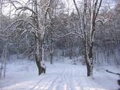 snow-winter-road-cold-season-72739.jpg