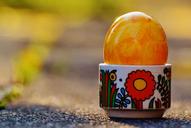 easter-easter-eggs-colorful-1247404.jpg