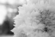 crystals-snow-ice-frost-cold-1109290.jpg