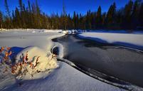 winter-landscape-snow-winter-nature-1099345.jpg