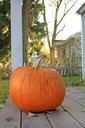 pumpkin-halloween-autumnal-porch-487983.jpg