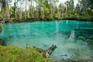 Three sisters springs near crystal river national wildlife refuge.jpg