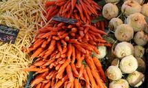 beans-carrots-vegetables-food-1623887.jpg