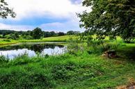 pools-pond-biotope-rest-nature-261116.jpg