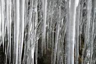 ice-icicle-cold-snow-frozen-621039.jpg