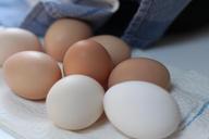 eggs-food-chicken-eggs-fresh-eggs-352460.jpg