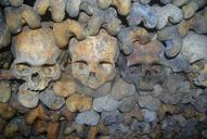 catacombs-underground-ossuaries-901423.jpg