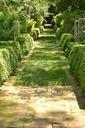 path-garden-stone-pathway-green-972128.jpg