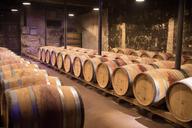 wine-beaujolais-cellar-wine-barrels-1238669.jpg