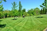 lawn-care-lawn-maintenance-643557.jpg