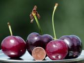 cherries-large-huge-size-comparison-167806.jpg