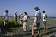 People working restoring marsh habitat.jpg