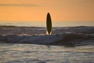 surfing-sunset-surf-board-serenity-1171077.jpg