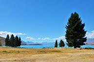 serenity-lakefront-tree-new-zealand-660089.jpg