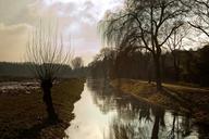 pasture-river-niederrhein-landscape-653627.jpg