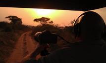 safari-sunset-africa-uganda-192649.jpg