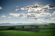 pasture-meadows-sky-landscapes-503029.jpg