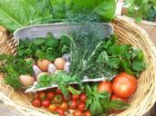 fresh-harvest-herbs-food-651772.jpg