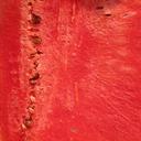 watermelon-melon-citrullus-lanatus-331271.jpg