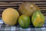 still-life-pumpkin-melon-mango-836770.jpg