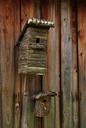 birdhouse-bird-nest-wood-hatch-1533043.jpg