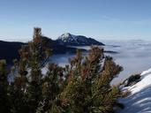 slovakia-mountains-winter-trees-19946.jpg