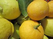 lemons-yellow-citrus-fruit-sour-1330036.jpg