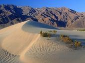 Death valley sand dunes.jpg