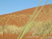 desert-namib-namibia-landscape-396357.jpg