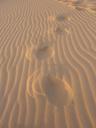 sand-uruguay-footprints-in-the-sand-109925.jpg