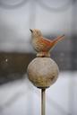 ball-bird-garden-decoration-winter-642415.jpg