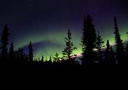 aurora-borealis-northern-lights-sky-1133033.jpg