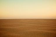 sand-dune-desert-sahara-landscape-336491.jpg