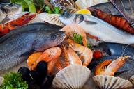 seafood-food-healthy-sea-fresh-164664.jpg