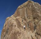 joshua-tree-national-park-5104.jpg