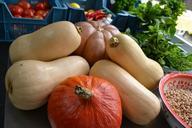 pumpkin-ingredients-soup-462784.jpg