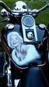 harley-davidson-marilyn-monroe-858985.jpg