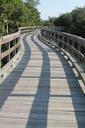 trail-walkway-walk-scenery-hiking-734076.jpg