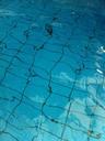 underwater-water-blue-summer-clear-870781.jpg