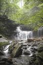 Waterfalls-in-Ricketts-Glen-State-Park.jpg