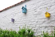 triangular-composition-birdhouse-1193361.jpg