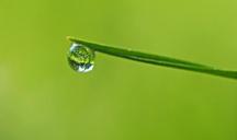 mirror-in-the-drop-grass-meadow-1567829.jpg