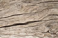 wood-grain-texture-panel-timber-1305419.jpg