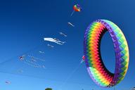 kites-flying-sky-blue-recreation-1242848.jpg