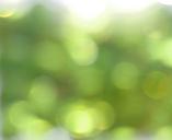 bokeh-green-blur-lights-1109898.jpg